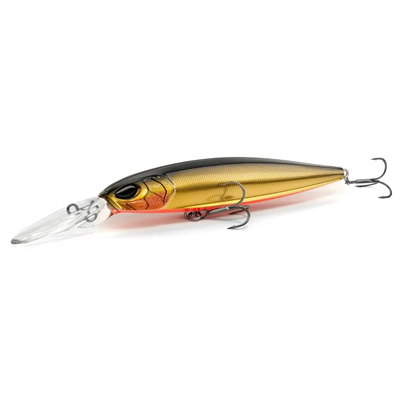 fishline202606090251253360967