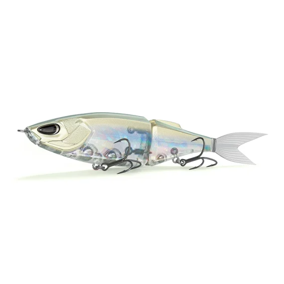 fishline202606090251373360970