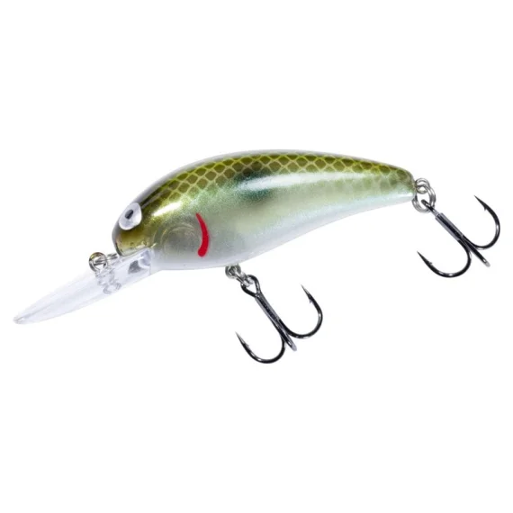 fishline202606090255383361024