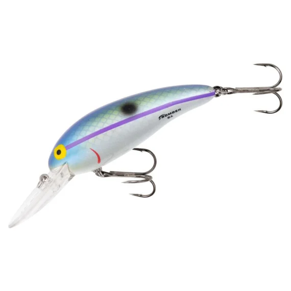 fishline202606090255433361025