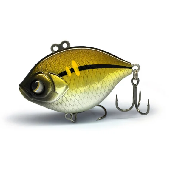 fishline202606090300083361089