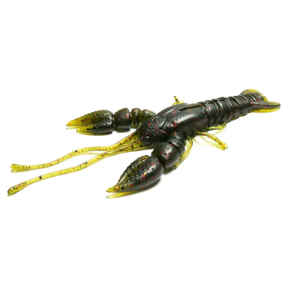 fishline202606090301383361110