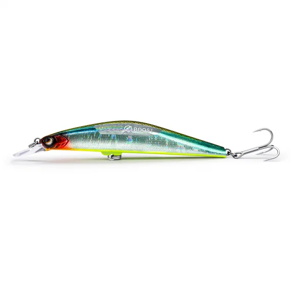 fishline202606090304473361152