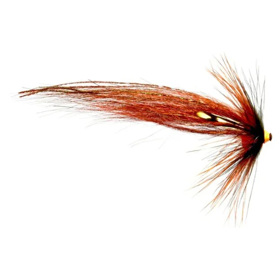 fishline202606090313243361259