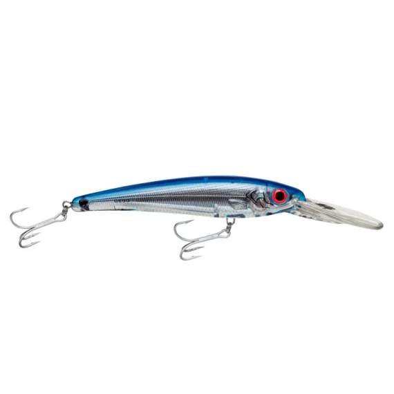 fishline202606090314253361269