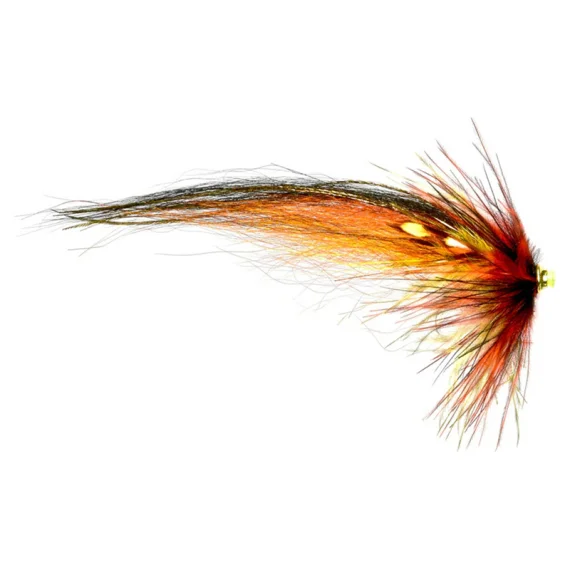 fishline202606090314313361270