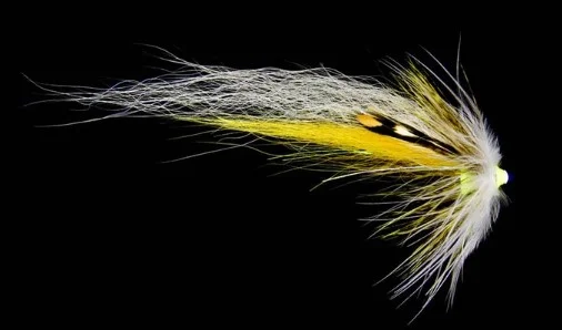 fishline202606090314393361271