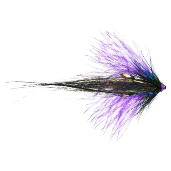 fishline202606090316513361296