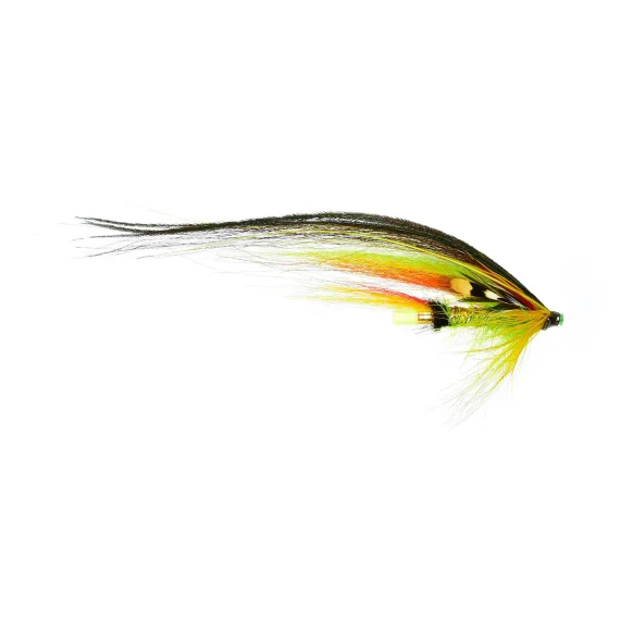 fishline202606090353433361754