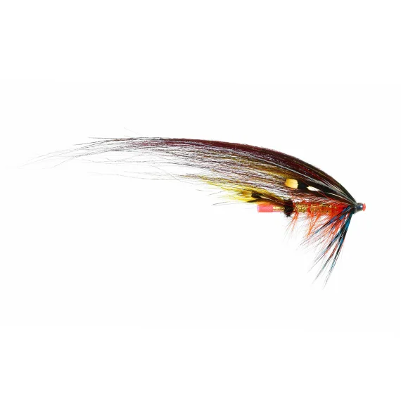 fishline202606090358163361810