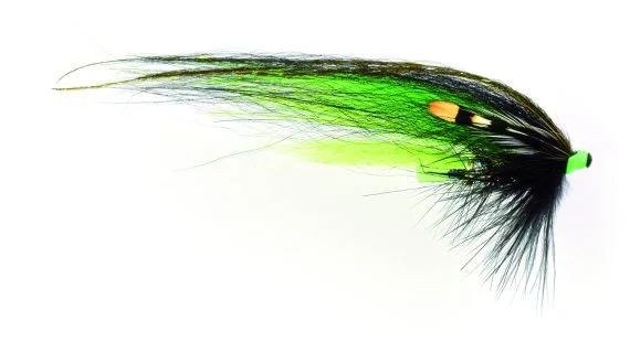 fishline202606090423493362148