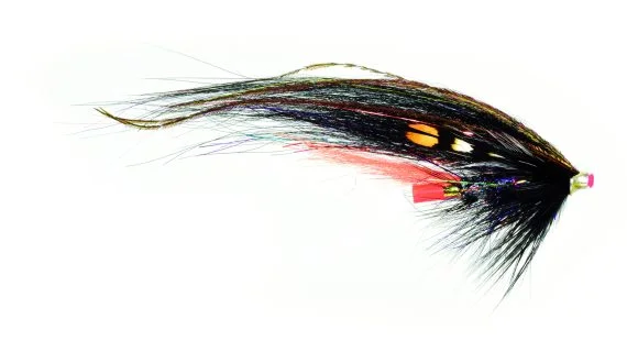 fishline202606090423553362149