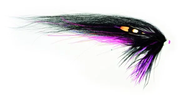 fishline202606090425043362162