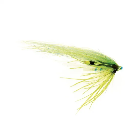 fishline202606090425203362166
