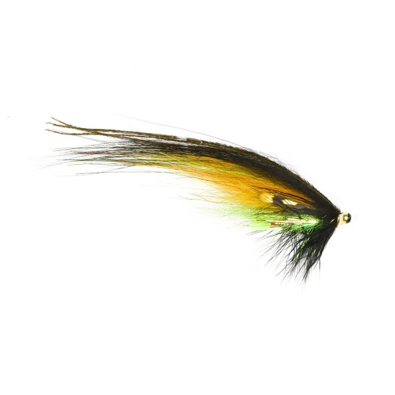 fishline202606090425313362169