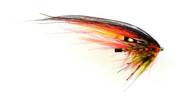 fishline202606090425573362174