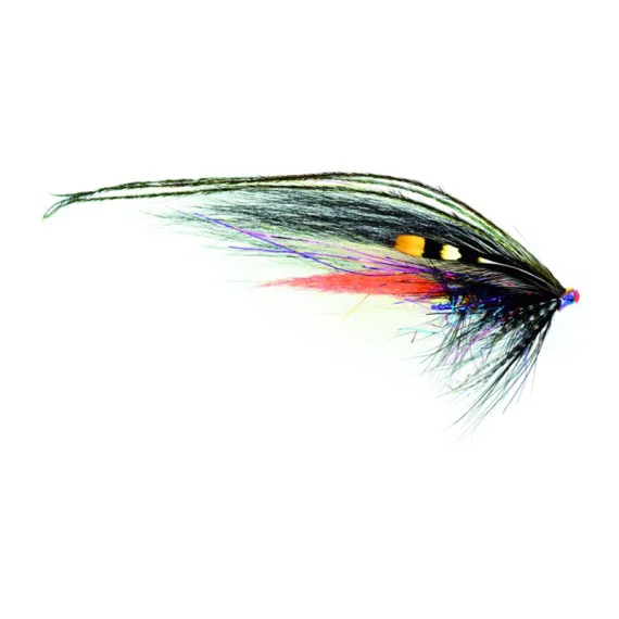 fishline202606090426043362176