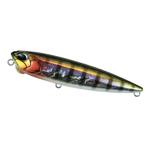 fishline202606090439583362373