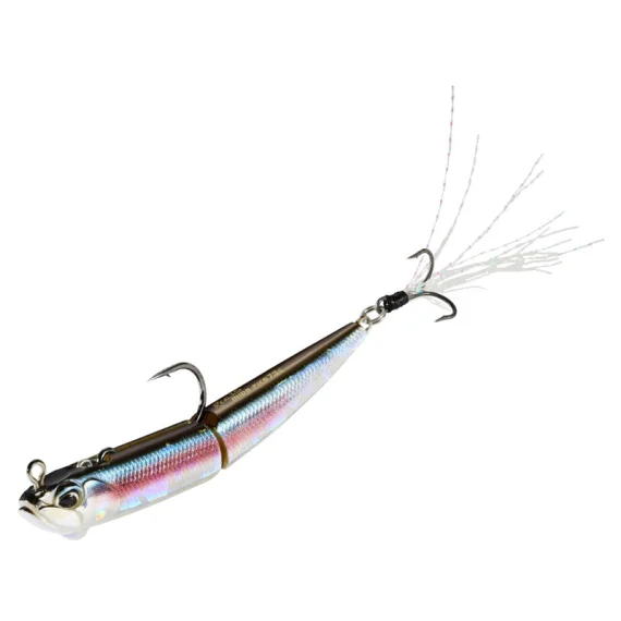fishline202606090440543362386