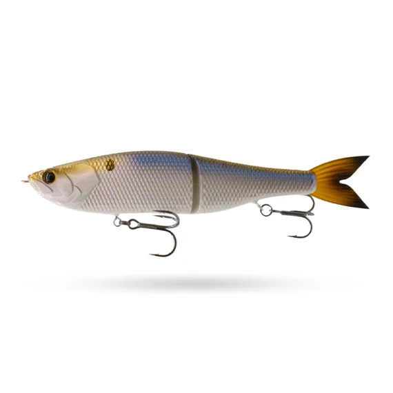 fishline202606090442543362417