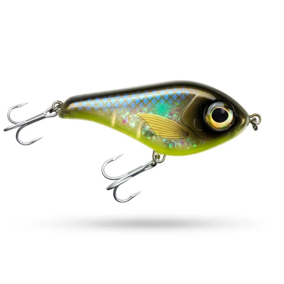 fishline202606090457053362624
