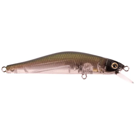 fishline202606090459283362660