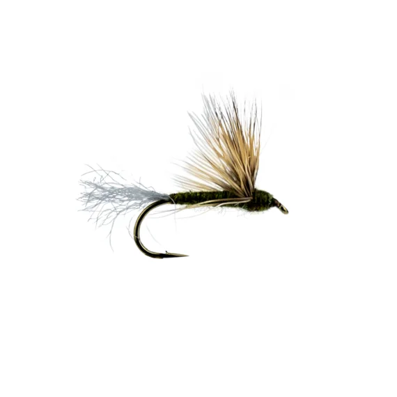 fishline202606090518113362944