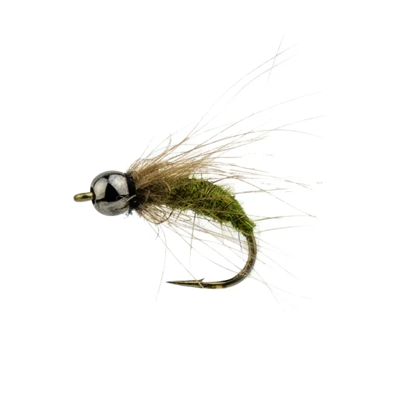 fishline202606090518383362950