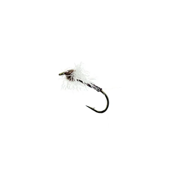 fishline202606090519363362965