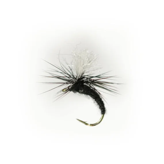fishline202606090520113362975