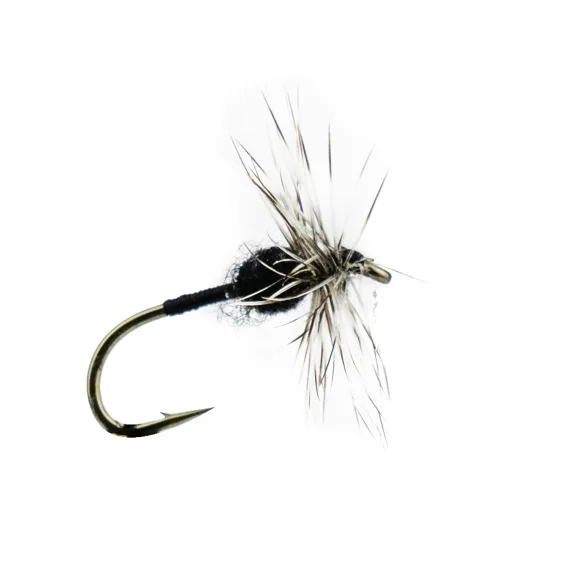 fishline202606090521193362993