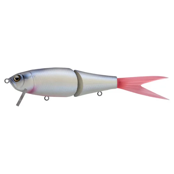 fishline202606090532033363157