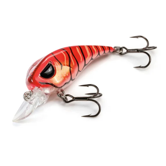 fishline202606090537443363235