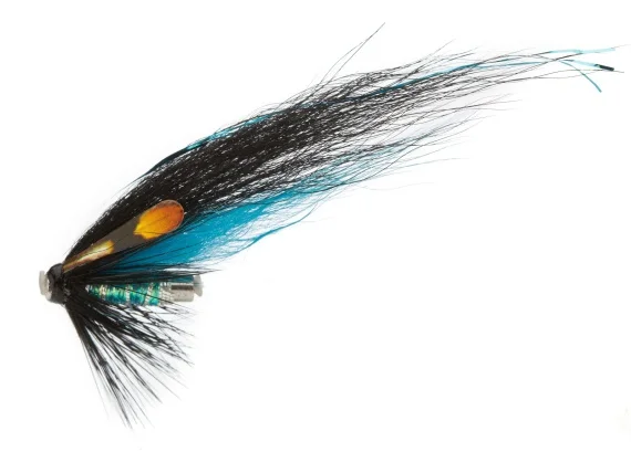 fishline202606090555073363500