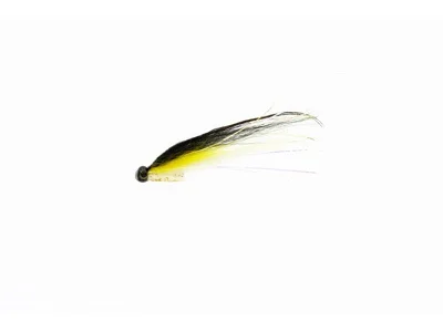 fishline202606090555313363507