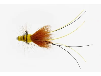 fishline202606090555353363508
