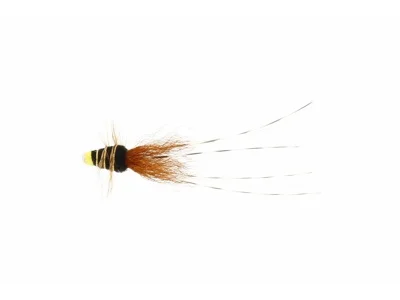 fishline202606090555463363511