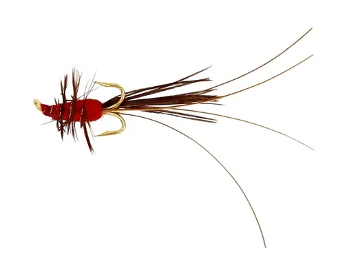 fishline202606090556063363514