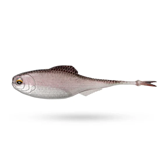 fishline202606090604413363637