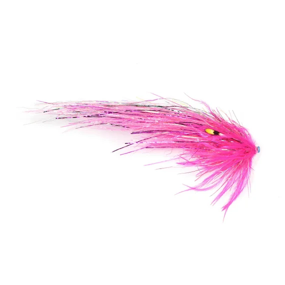 fishline202606090608573363696