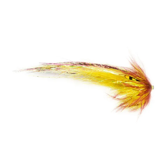 fishline202606090609183363701
