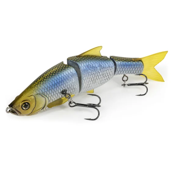 fishline202606090616253363806