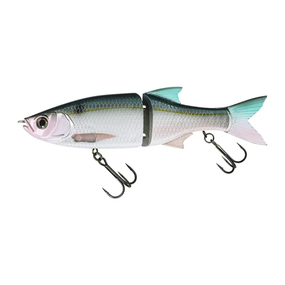 fishline202606090616523363812