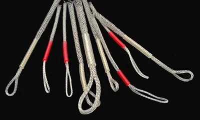 fishline202606090621343363882