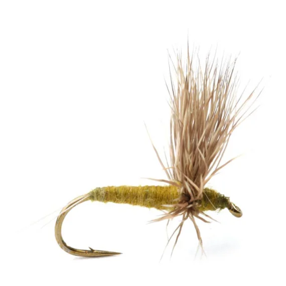 fishline202606090622063363892