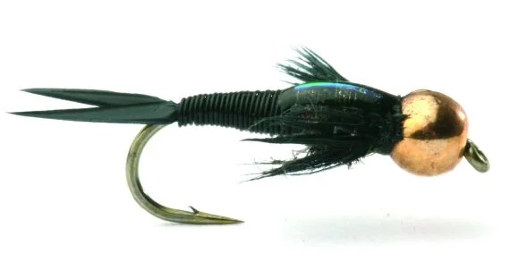 fishline202606090622223363895
