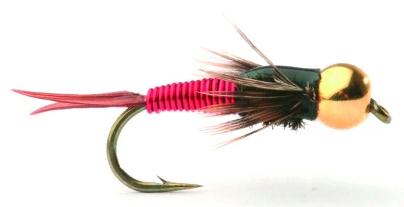 fishline202606090622263363896