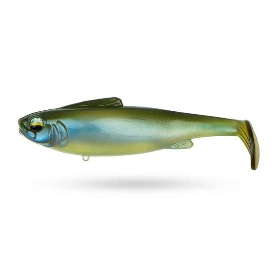 fishline202606090647183364265