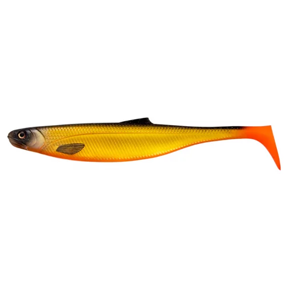 fishline202606090648013364275