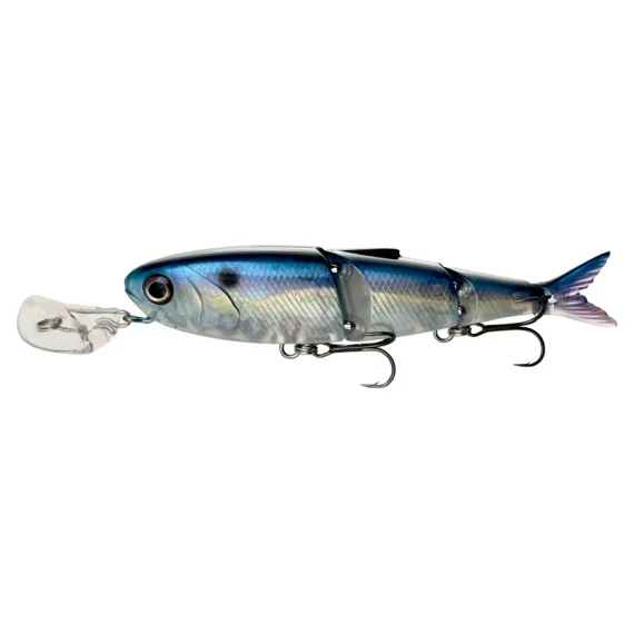fishline202606090648213364281